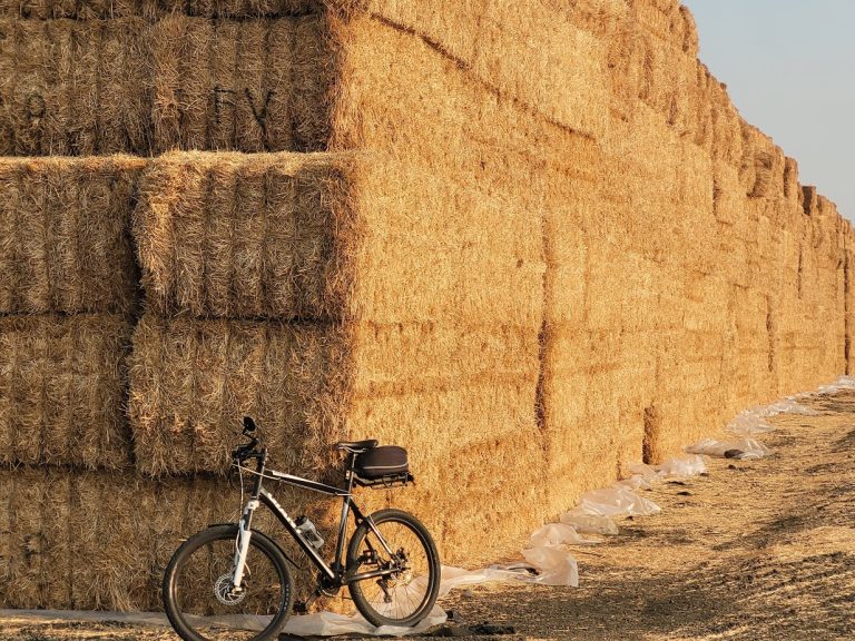 Off Riverside Drive A Huge Wall Of Straw Hasso Hering