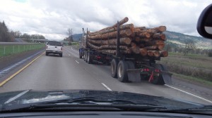 On Interstate 5 south of Albany. (Taking a snapshot is not yet as unlawful as using a cell phone while driving, is it?)