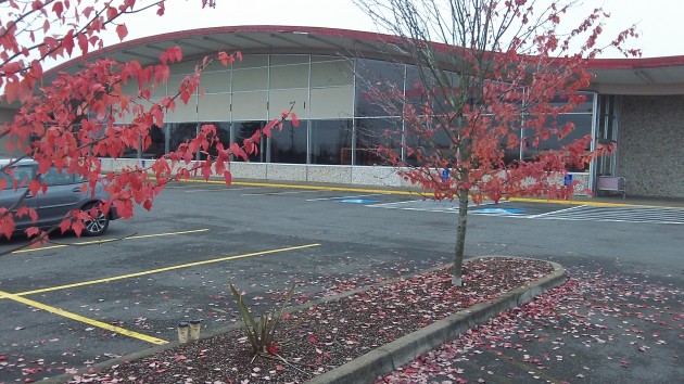 The vacant former West Albany Safeway building was constructed in 1966