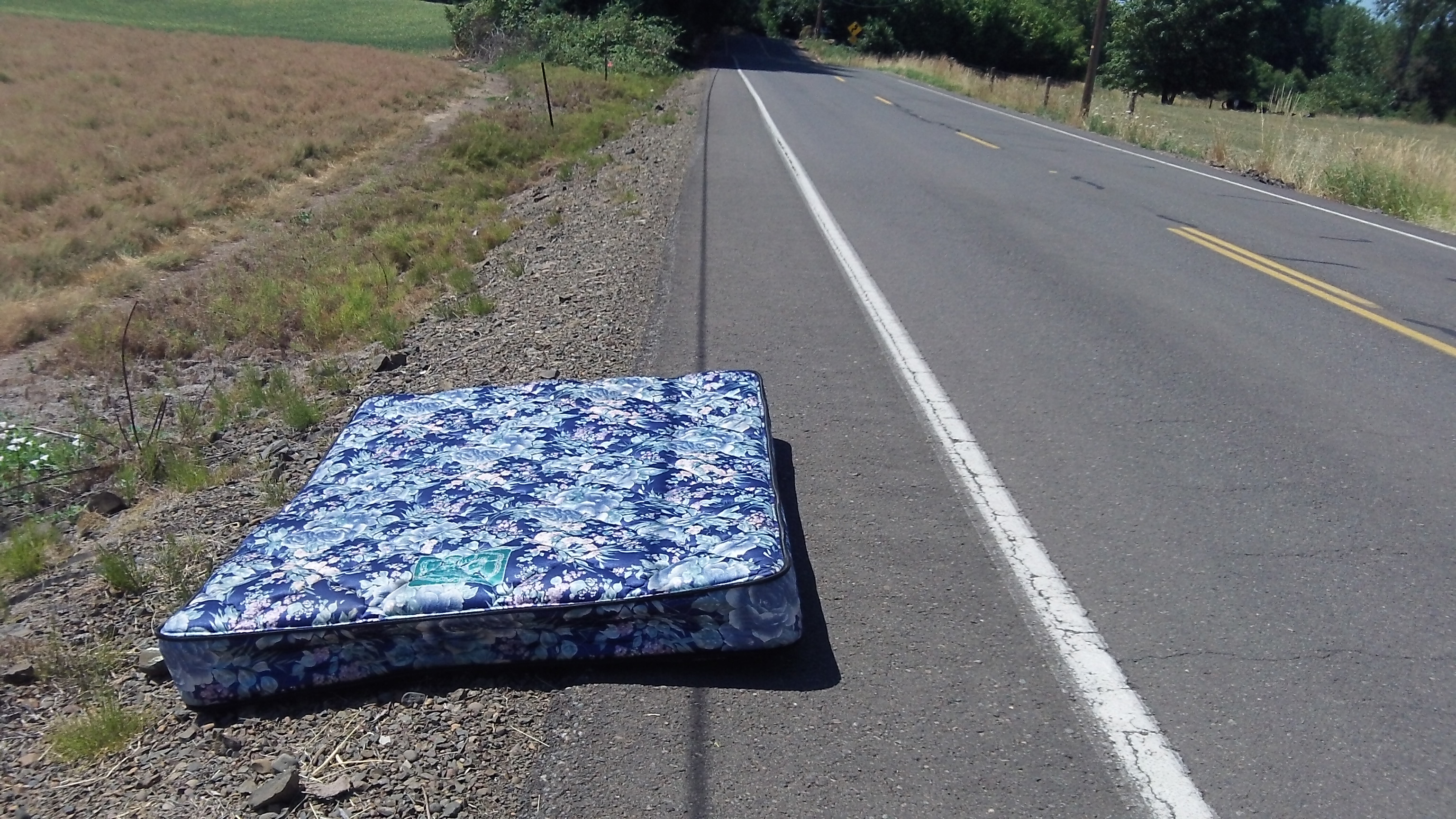 roadside mattress ramsey reviews