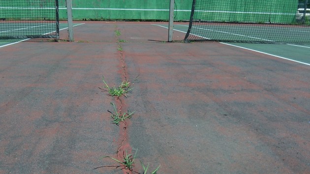 The view "after:" If more people used these courts, weeds would have no chance.
