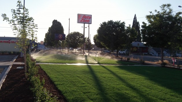 The Auto Zone frontage on Pacific Boulevard has a park-like appearance,
