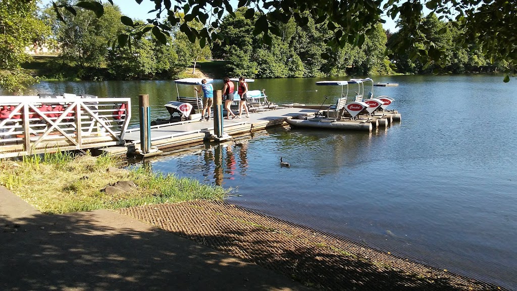 A sure sign of summer at Waverly Lake – Hasso Hering
